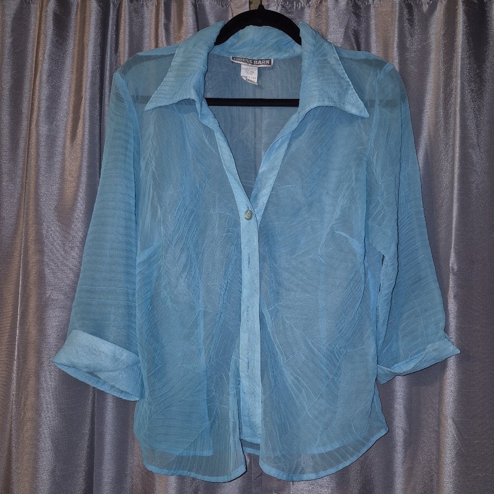 Sheer Blue Button-Up Blouse